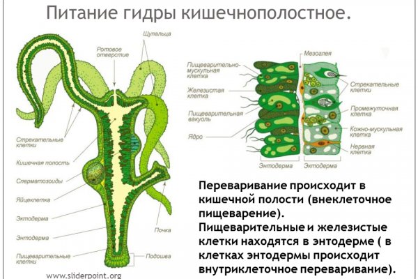 Ссылка на кракен в браузере