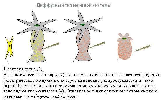 Кракен сайт официальный kraken014 com